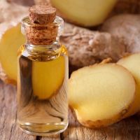 Wholesale  100% Pure Ginger Essential Oil