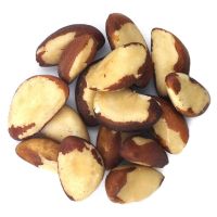 Wholesale  Macadamia nuts and brazil nuts 