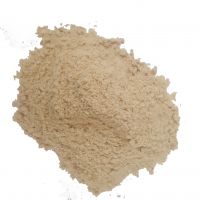 Wholesale Top Quality Pecan flour