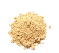 Wholesale  Quality Ginger Powder