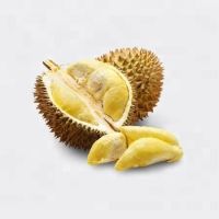 Wholesale  Freeze dried fruit of 100% natural Dried durian 
