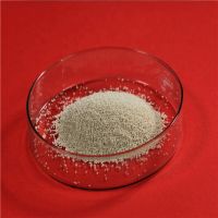 Wholesale  Phytase powder