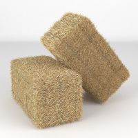 Wholesale  High Quality Straw Bale 