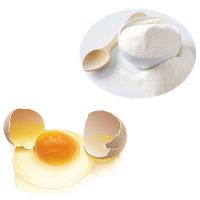 Wholesale  Egg Yolk Powder