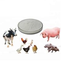 Wholesale  Vitamin premix for broiler