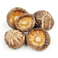 Wholesale  Raw Dried Shiitake Mushroom