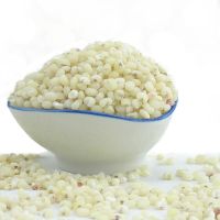 Wholesale  Top Quality White Sorghum Bulk Red Sorghum For Sale