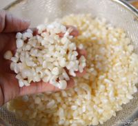 Wholesale Top Quality White Maize / White Corn available at good rates