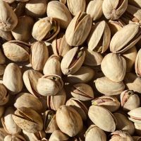 Wholesale Pistachio Nuts 
