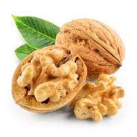 Wholesale Walnut / Cashew Nuts / Almond Nuts