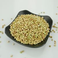 Wholesale Buckwheat