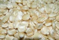 Wholesale Mazie(Corn)