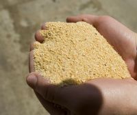 Wholesale High Protein Soybean Meal 