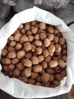 WALNUTS