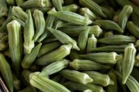 Happy Fresh Ãƒï¿½Ã‚Â¢ÃƒÂ¯Ã‚Â¿Ã‚Â½ÃƒÂ¯Ã‚Â¿Ã‚Â½ Premium Garden Okra
