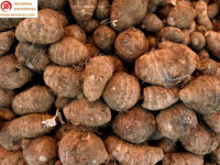 Happy Fresh Harvest Ã¢ï¿½ï¿½ Taro Edition
