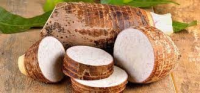 Happy Fresh Harvest Ã¢ï¿½ï¿½ Taro Edition