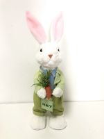 Easter dressing bunny