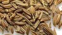 Organic Cumin Seeds,Best Quality Cumin Seed