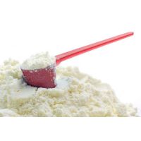 Ice Cream Powder 