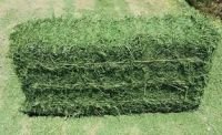 Best Quality Grade Alfalfa Hay,Alfalfa Hay Cubes,Alfalfa Hay Pellets