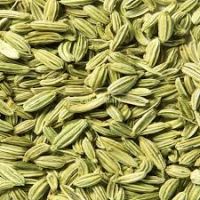 Fennel Seed , Organic Fennel Seeds