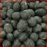 Black Soybeans