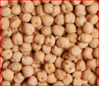 Wholesale High Quality Chickpeas/Chick Peas Price Best