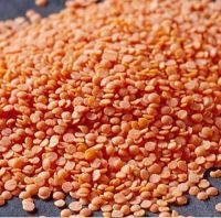 Red Lentils