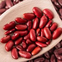 Red Kidney Beans for sale