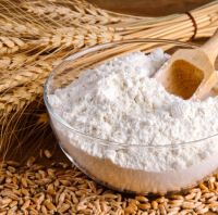 Wheat Flour for sale