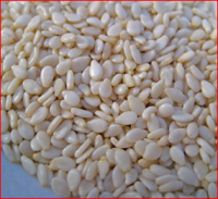 WHITE HULLED SESAME SEEDS