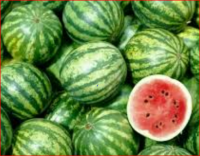 Fresh sweet Water Melons