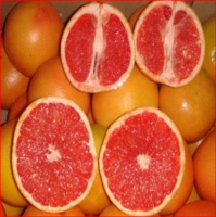 New Crop Fresh Honey Pomelo Fruit grapefruit