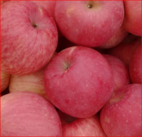 Fresh Gala Apple