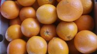 Sweet Fresh mandarin orange/Fresh Orange,Naval Orange,Valencia Oranges