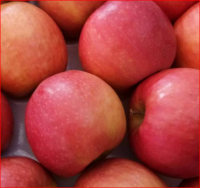 Fresh Pink lady Apple for sale 