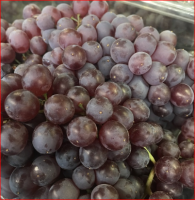 Quality Fresh Seedless Grapes Available in All Colors
