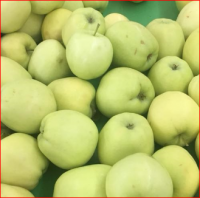 Fresh Golden Delicious Apple 