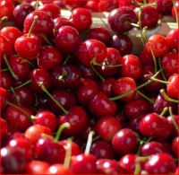 Red Sweet Cherry / Fresh Chery Fruit