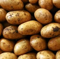 Fresh Potatoes For Sale