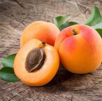 Fresh Apricot for sale