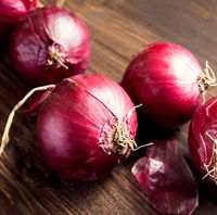 Red Onion For Sale