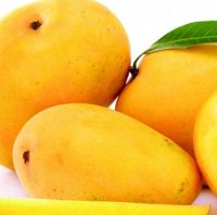 Fresh Mangos For Sale