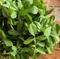 Fenugreek Leaves for sale