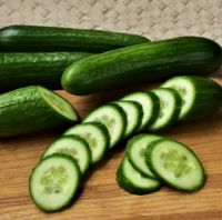 Fresh Cucumber For Sale