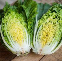 Chinese Cabbage for sale