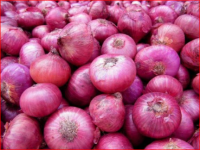 Hot Sell Fresh Yellow & Red Onion 