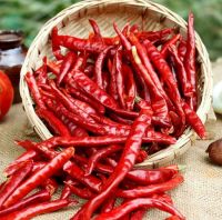 Byadgi Chilli for sale