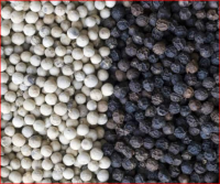 Quality Spices Black and White Pepper 550gl/ 500gl/ Whole Black Pepper